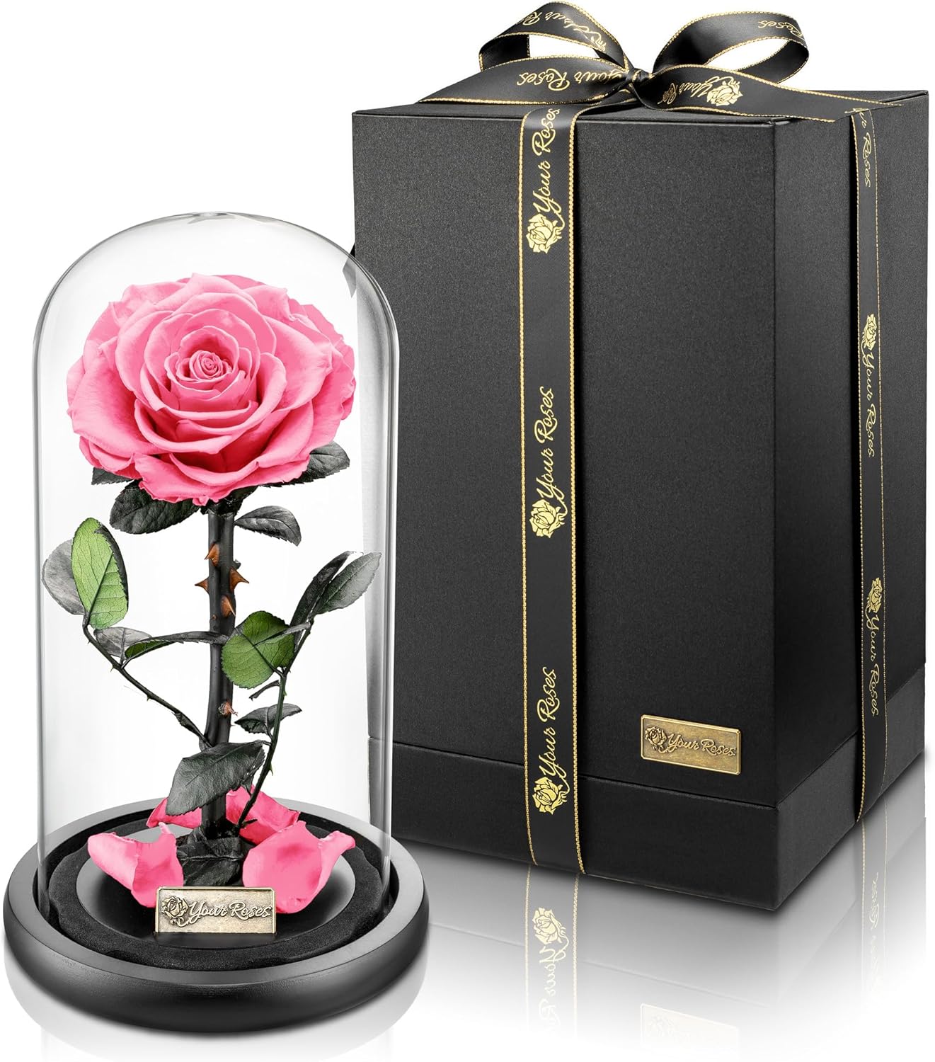 Konservierte Premium Rose im Glas mit Geschenkbox