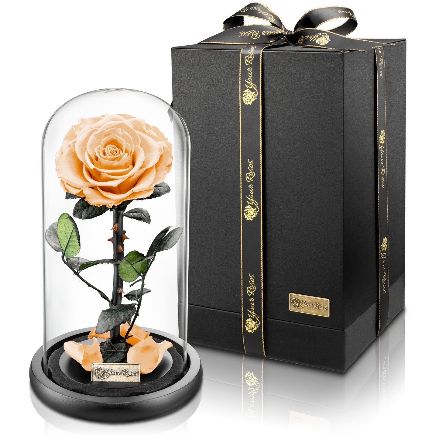 YourRoses® real premium rose in a glass with a beautiful gift box - Large
