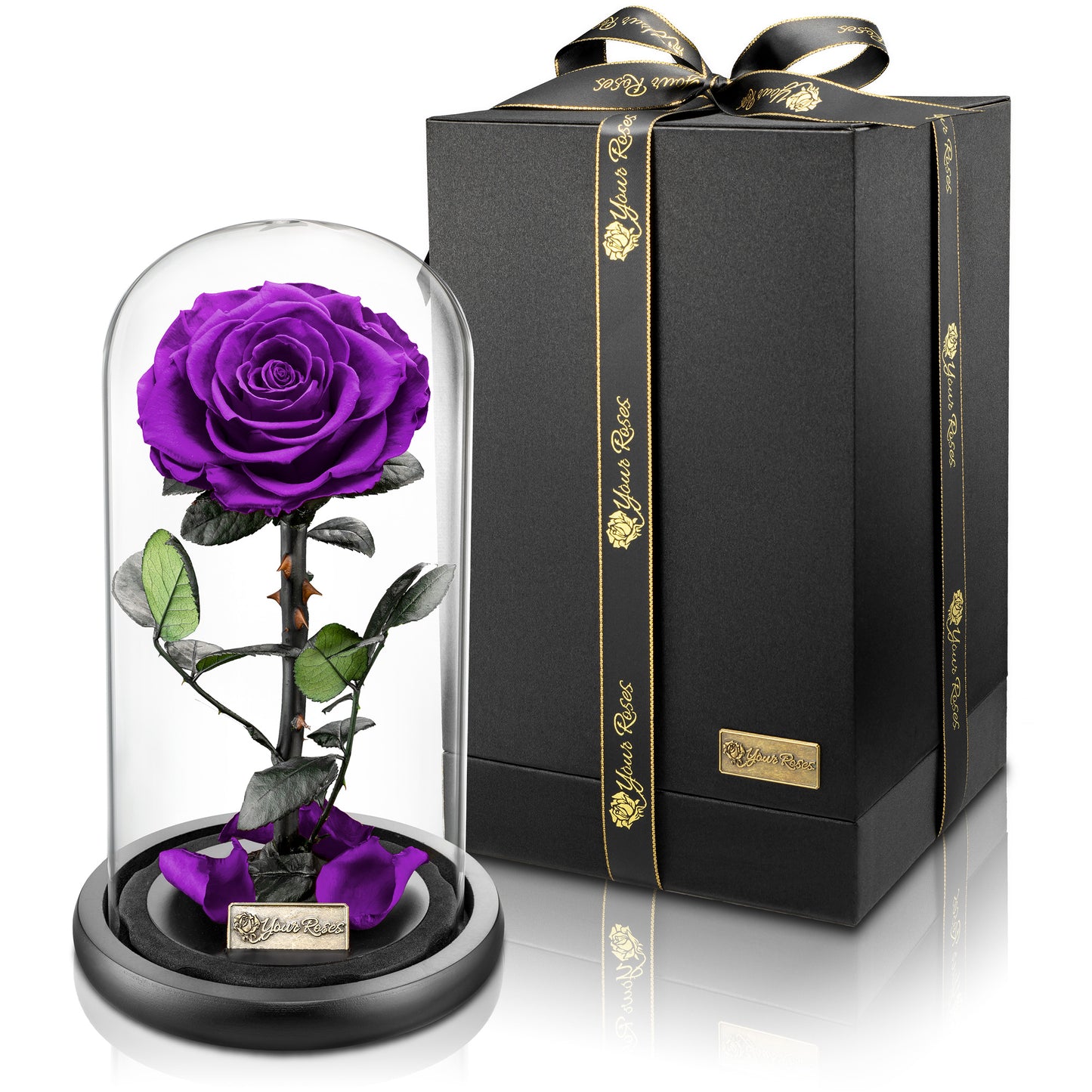 YourRoses® real premium rose in a glass with a beautiful gift box - Large