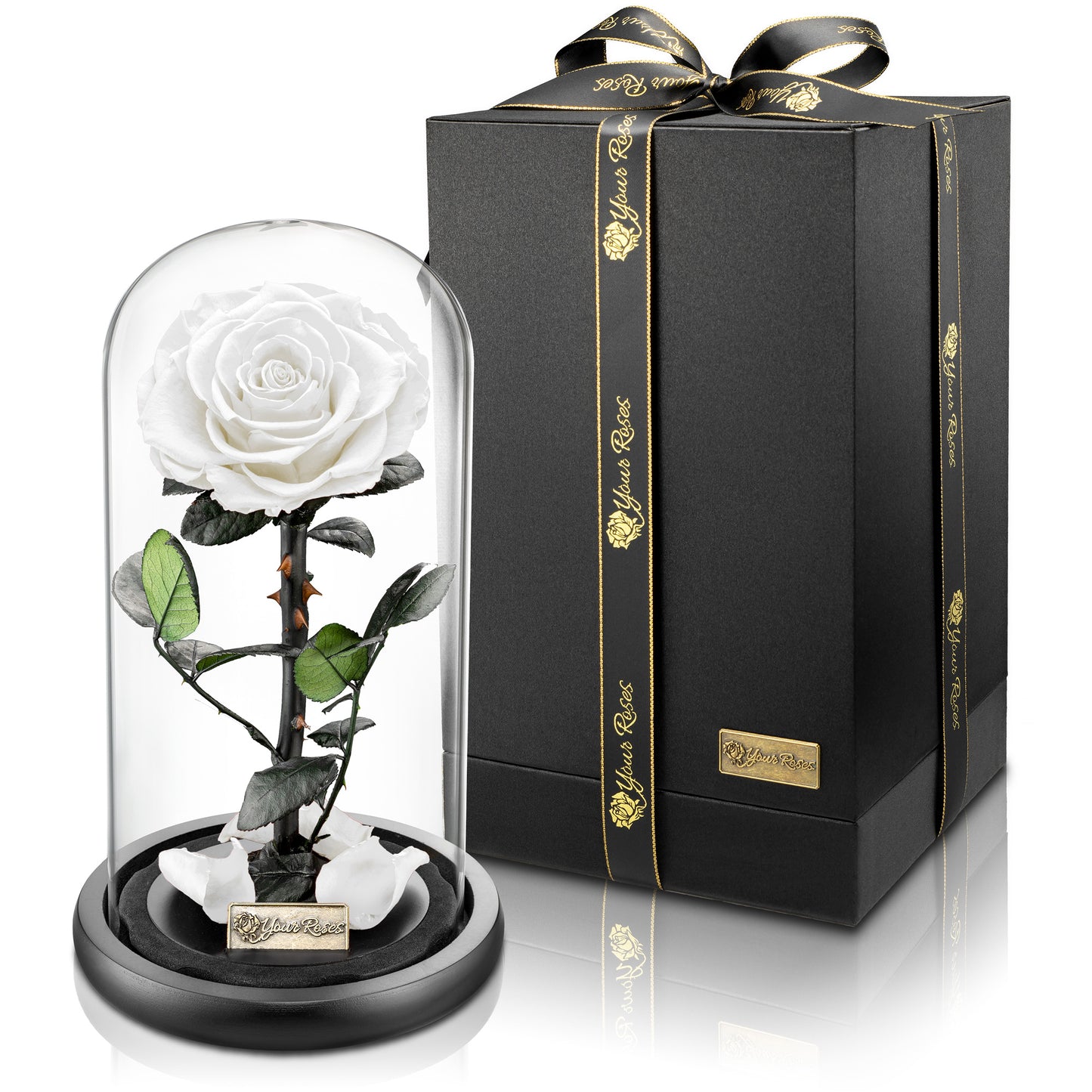 YourRoses® real premium rose in a glass with a beautiful gift box - Large