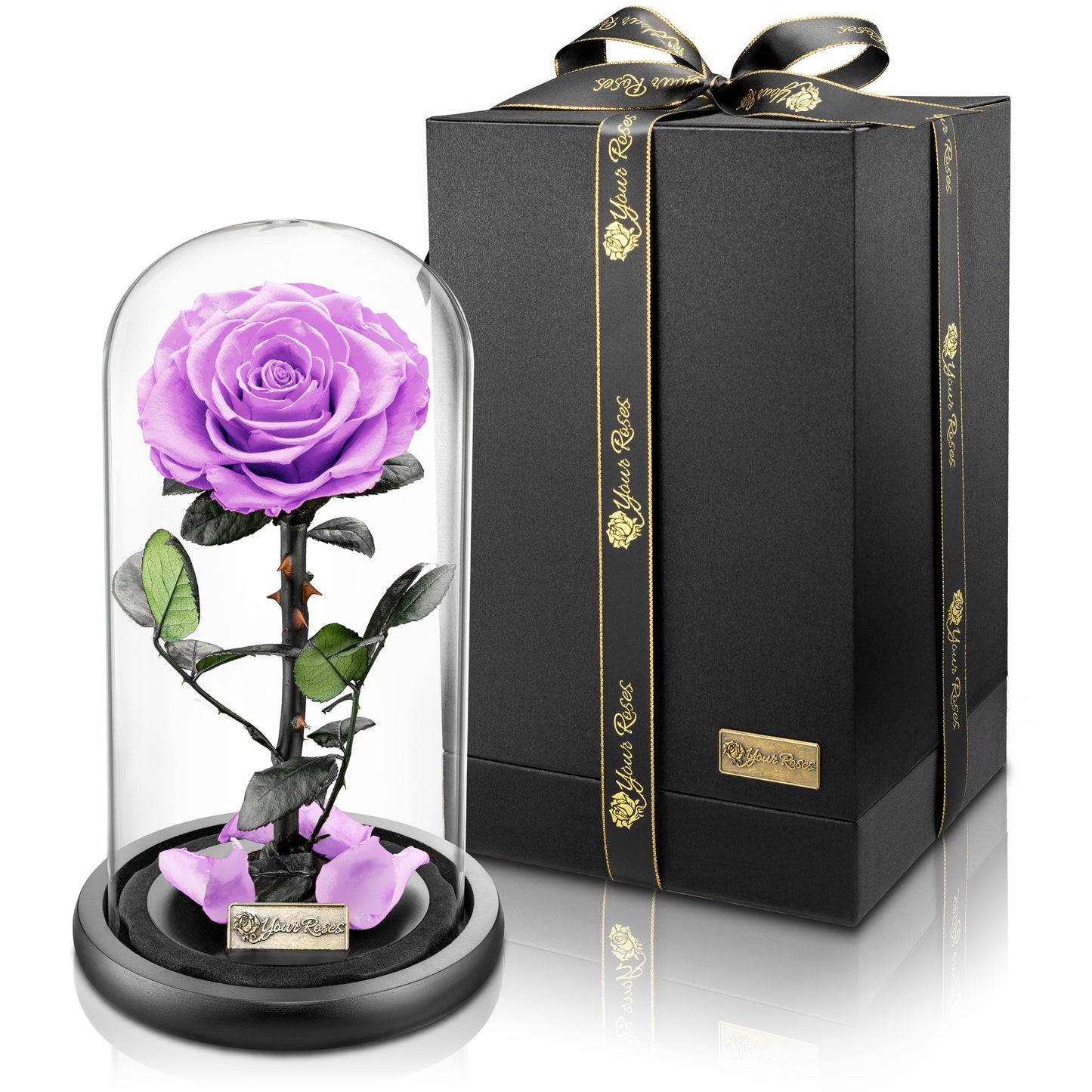 YourRoses® real premium rose in a glass with a beautiful gift box - Large