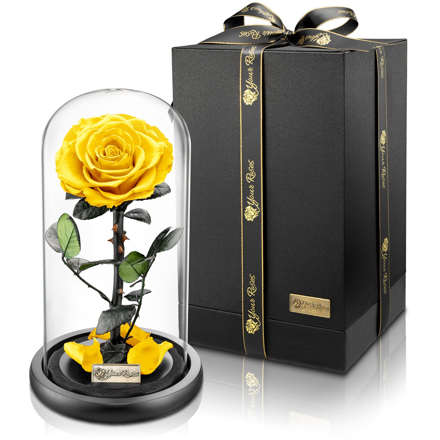 YourRoses® real premium rose in a glass with a beautiful gift box - Large