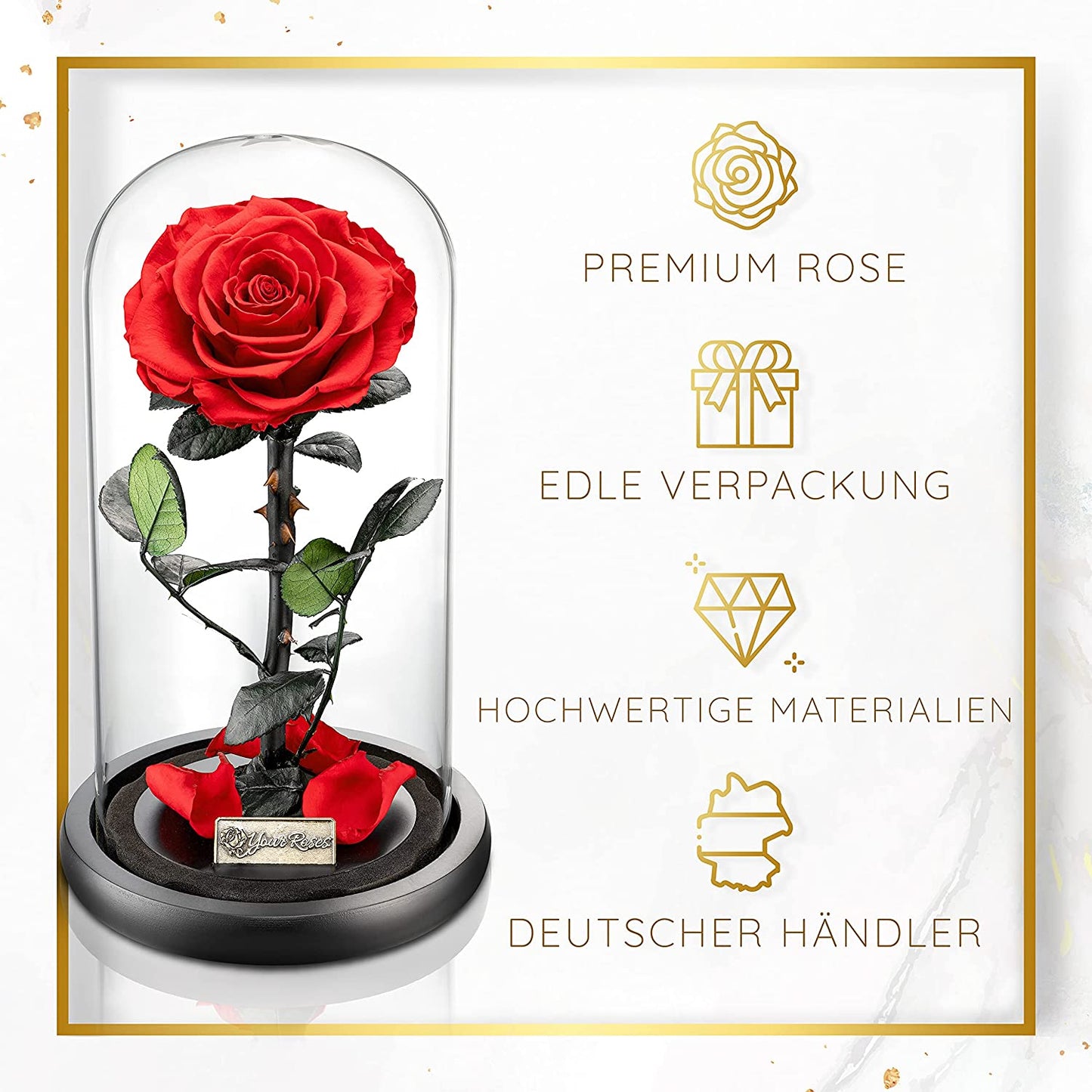 Infinity Rose