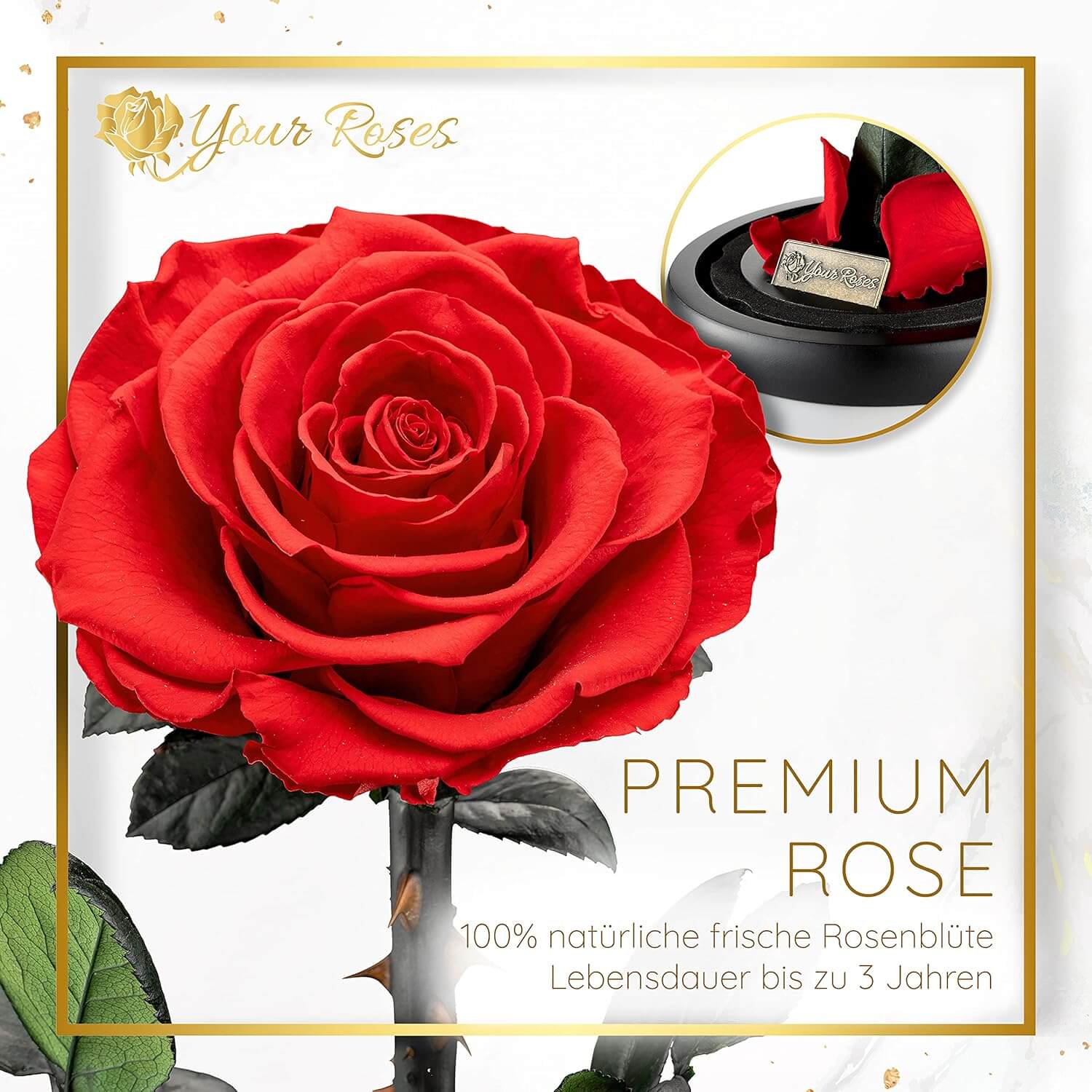 Personalisierte Premium Rose im Glas – große konservierte Rose in Geschenkbox