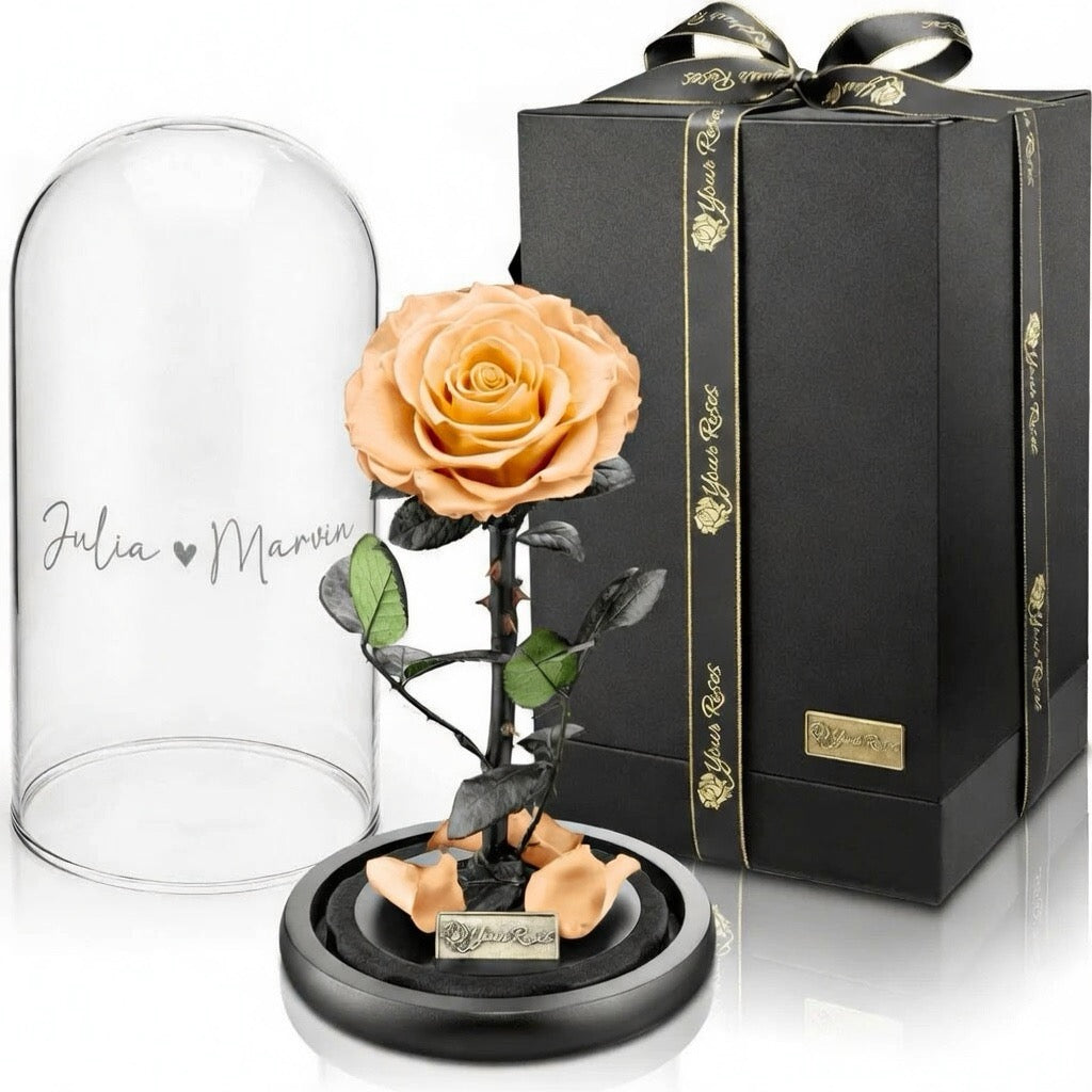 Premium roos in een glazen pot met geschenkdoos – Gepersonaliseerd met gravure