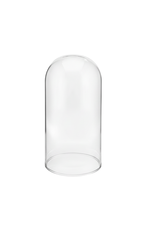 Replacement glass for the preserved premium rose in a glass