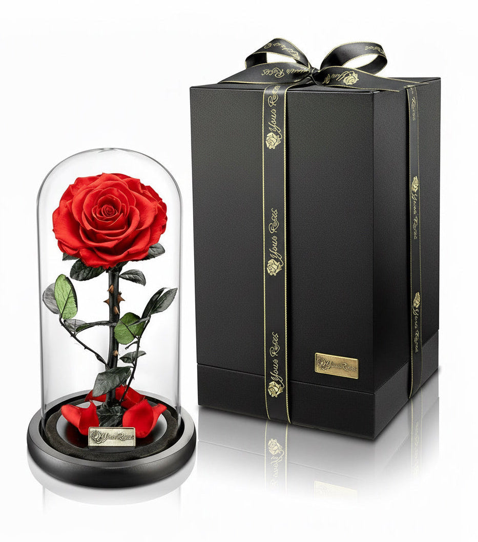 Large premium rose in a glass – preserved rose in an elegant gift box