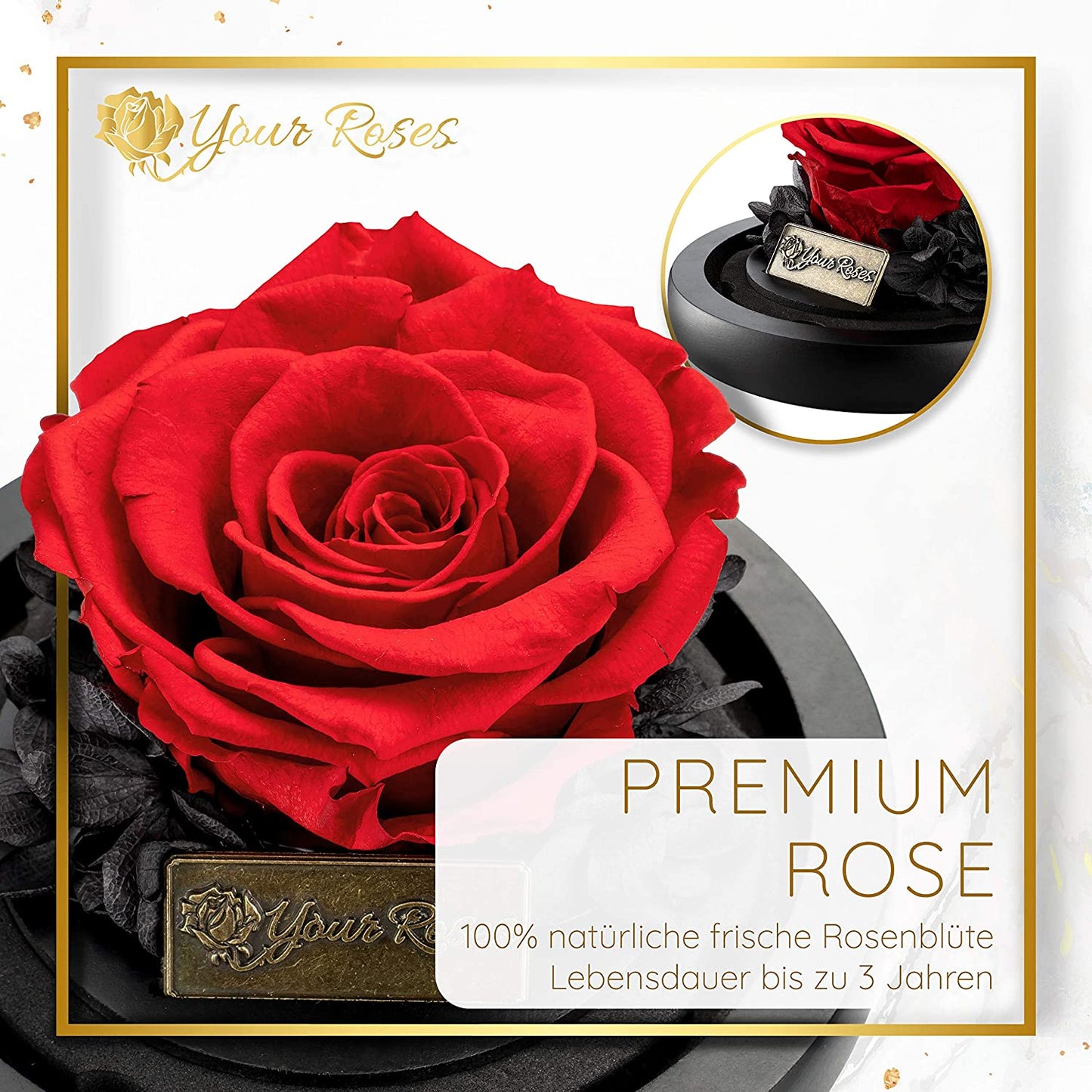 YourRoses® real premium rose in a glass with a beautiful gift box - small