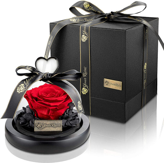 YourRoses® echte Premium Rose im Glas mit einer wunderschönen Geschenkbox - Klein