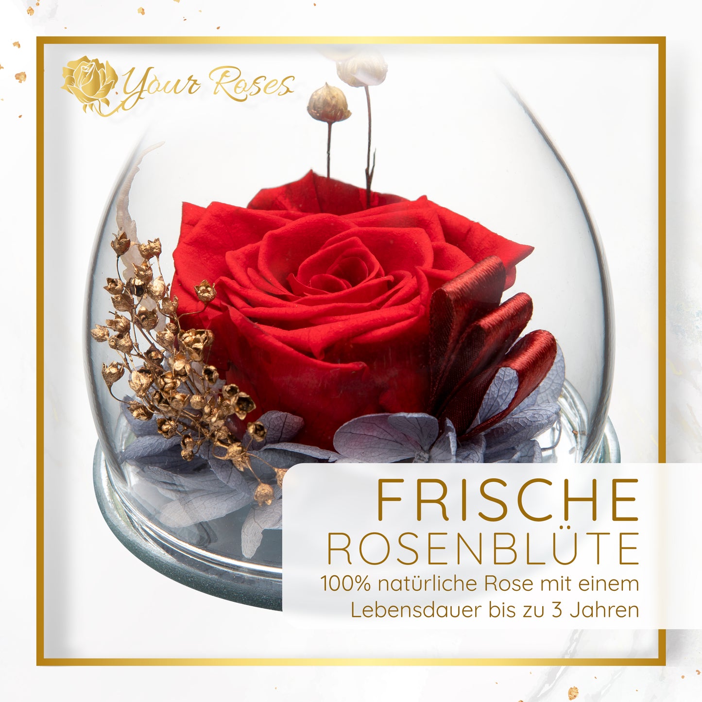 YourRoses® Real premium rose in a glass angel figurine and a beautiful gift box